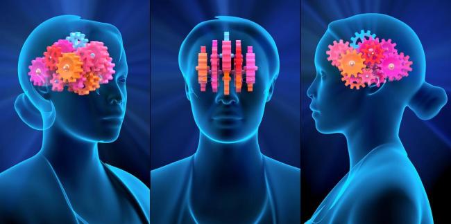蔡磊回应未来准备尝试脑机接口 技术托付希望