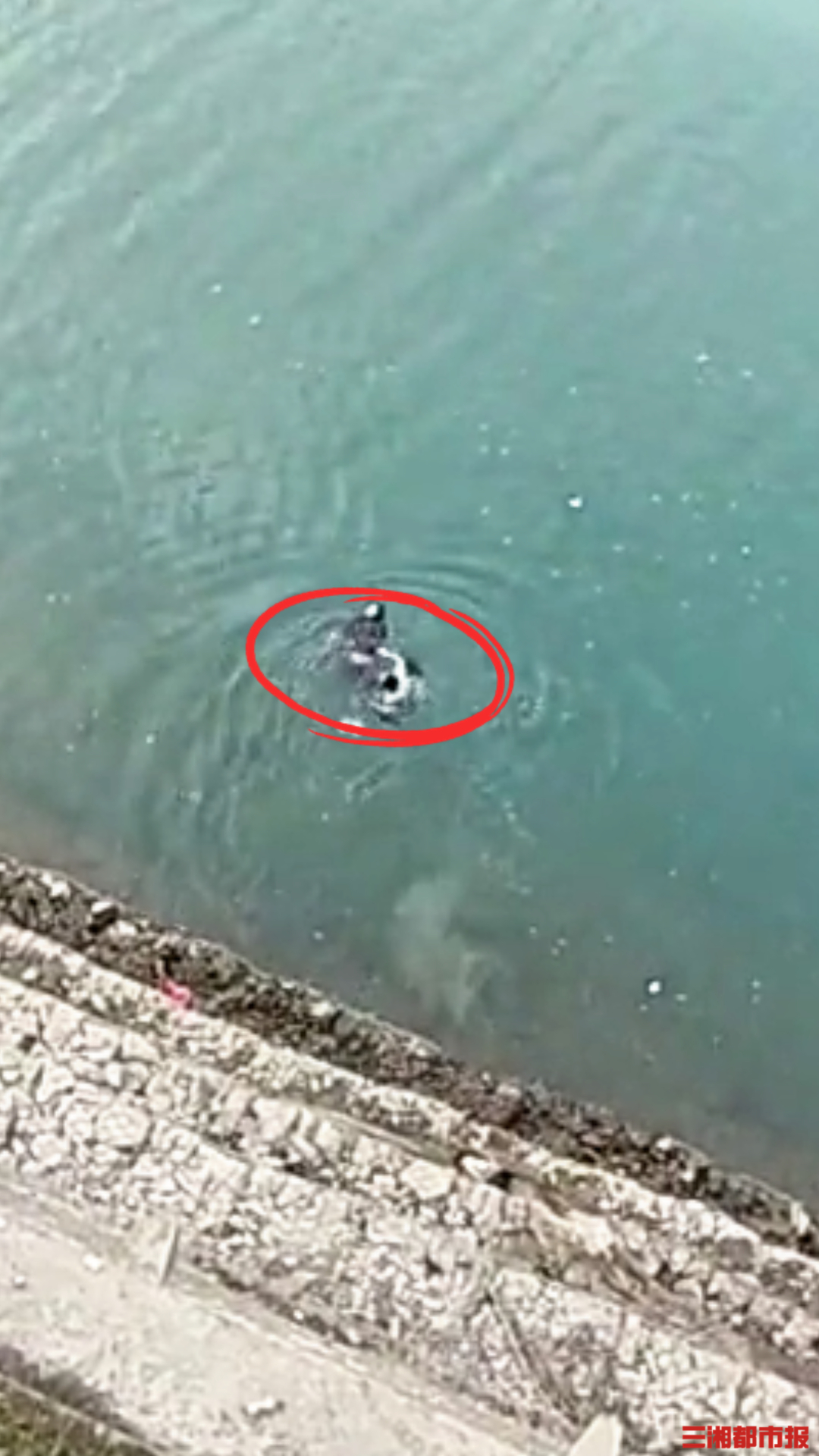 “生死面前，良心过不去”，尿毒症术后湘西汉子义无反顾跳河救人｜26℃